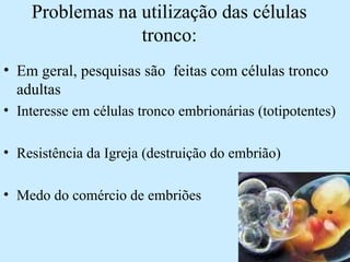 Problemas na utilização das células
tronco:
• Em geral, pesquisas são feitas com células tronco
adultas
• Interesse em células tronco embrionárias (totipotentes)
• Resistência da Igreja (destruição do embrião)
• Medo do comércio de embriões
 
