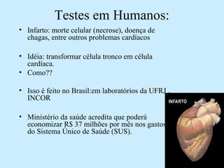 Testes em Humanos:
• Infarto: morte celular (necrose), doença de
chagas, entre outros problemas cardíacos
• Idéia: transformar célula tronco em célula
cardíaca.
• Como??
• Isso é feito no Brasil:em laboratórios da UFRJ ,
INCOR
• Ministério da saúde acredita que poderá
economizar R$ 37 milhões por mês nos gastos
do Sistema Único de Saúde (SUS).
 