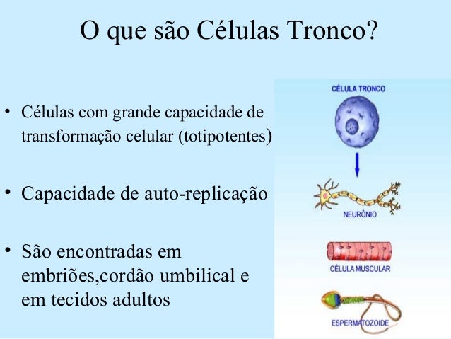 O q e forex