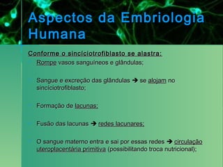 Aspectos da Embriologia
Humana
Conforme o sincíciotrofiblasto se alastra:
 Rompe vasos sanguíneos e glândulas;



   Sangue e excreção das glândulas  se alojam no
    sincíciotrofiblasto;

   Formação de lacunas;

   Fusão das lacunas  redes lacunares;

   O sangue materno entra e sai por essas redes  circulação
    uteroplacentária primitiva (possibilitando troca nutricional);
 