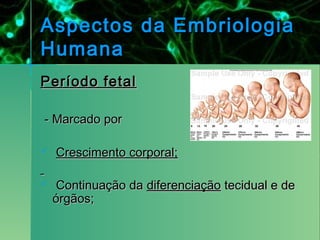 Aspectos da Embriologia
Humana
Período fetal

- Marcado por

   Crescimento corporal;

    Continuação da diferenciação tecidual e de
    órgãos;
 