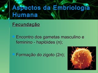Aspectos da Embriologia
Humana
Fecundação

   Encontro dos gametas masculino e
    feminino - haplóides (n);

   Formação do zigoto (2n);
 