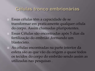  Essas células têm a capacidade de se
transformar em praticamente qualquer célula
do corpo. Assim chamadas pluripotentes.
 Essas Células são encontradas após 5 dias da
fertilização do embrião ,formando um
blastocisto.
 As células encontradas na parte interior da
esfera são as que vão da origem a quase todos
os tecidos do corpo do embrião sendo assim as
utilizadas nas pesquisas .
 
