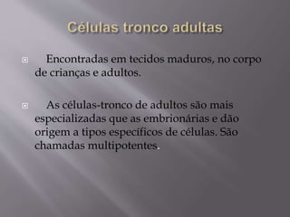  Encontradas em tecidos maduros, no corpo
de crianças e adultos.
 As células-tronco de adultos são mais
especializadas que as embrionárias e dão
origem a tipos específicos de células. São
chamadas multipotentes.
 