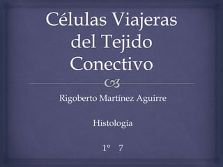 Rigoberto Martínez Aguirre
Histología
1° 7
 