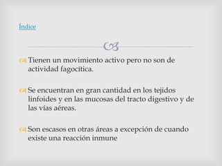 
 Tienen un movimiento activo pero no son de
actividad fagocítica.
 Se encuentran en gran cantidad en los tejidos
linfoides y en las mucosas del tracto digestivo y de
las vías aéreas.
 Son escasos en otras áreas a excepción de cuando
existe una reacción inmune
Índice
 