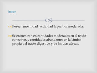 
 Poseen movilidad actividad fagocítica moderada.
 Se encuentran en cantidades moderadas en el tejido
conectivo, y cantidades abundantes en la lámina
propia del tracto digestivo y de las vías aéreas.
Índice
 