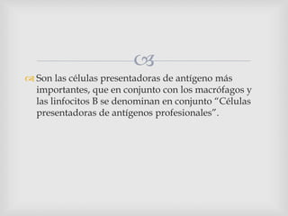 
 Son las células presentadoras de antígeno más
importantes, que en conjunto con los macrófagos y
las linfocitos B se denominan en conjunto “Células
presentadoras de antígenos profesionales”.
 