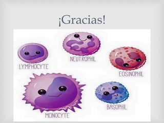 
¡Gracias!
 