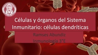 Células y órganos del Sistema 
Inmunitario: células dendríticas 
Ramses Abundiz 
Inmunología 3°E 
 
