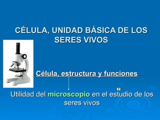 CÉLULA, UNIDAD BÁSICA DE LOS SERES VIVOS Célula, estructura y funciones Utilidad del  microscopio  en el estudio de los seres vivos 