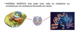 • MATERIAL GENÉTICO: Este pode estar solto no citoplasma ou
envolvido por um membrana formando um núcleo
 