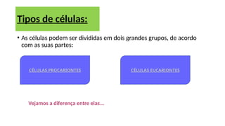 • As células podem ser divididas em dois grandes grupos, de acordo
com as suas partes:
Tipos de células:
CÉLULAS PROCARIONTES CÉLULAS EUCARIONTES
Vejamos a diferença entre elas...
 