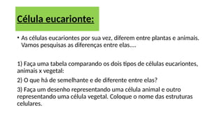 • As células eucariontes por sua vez, diferem entre plantas e animais.
Vamos pesquisas as diferenças entre elas....
1) Faça uma tabela comparando os dois tipos de células eucariontes,
animais x vegetal:
2) O que há de semelhante e de diferente entre elas?
3) Faça um desenho representando uma célula animal e outro
representando uma célula vegetal. Coloque o nome das estruturas
celulares.
Célula eucarionte:
 