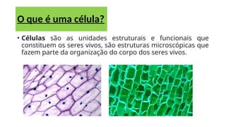 O que é uma célula?
• Células são as unidades estruturais e funcionais que
constituem os seres vivos, são estruturas microscópicas que
fazem parte da organização do corpo dos seres vivos.
 