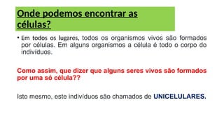 • Em todos os lugares, todos os organismos vivos são formados
por células. Em alguns organismos a célula é todo o corpo do
indivíduos.
Como assim, que dizer que alguns seres vivos são formados
por uma só célula??
Isto mesmo, este indivíduos são chamados de UNICELULARES.
Onde podemos encontrar as
células?
 