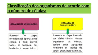 Classificação dos organismos de acordo com
o número de células:
ORGANISMOS UNICELULARES
ORGANISMOS
PLURICELULARES
Possuem o corpo
formado por apenas uma
célula, a qual exerce
todas as funções. Ex:
bactérias e protozoários.
Possuem o corpo formado
por várias células. Nesses
organismos as células,
podem estar agrupadas
formando os tecidos do
corpo. Ex: plantas e animais.
 