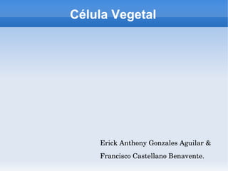 Célula Vegetal

Erick Anthony Gonzales Aguilar & 
Francisco Castellano Benavente.

 