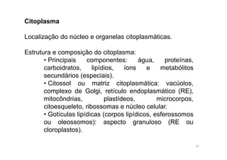 Citoplasma 
Localização do núcleo e organelas citoplasmáticas. 
Estrutura e composição do citoplasma: 
• Principais componentes: água, proteínas, 
carboidratos, lipídios, íons e metabólitos 
secundários (especiais). 
• Citossol ou matriz citoplasmática: vacúolos, 
complexo de Golgi, retículo endoplasmático (RE), 
mitocôndrias, plastídeos, microcorpos, 
citoesqueleto, ribossomas e núcleo celular. 
• Gotículas lipídicas (corpos lipídicos, esferossomos 
ou oleossomos): aspecto granuloso (RE ou 
cloroplastos). 
10 
 