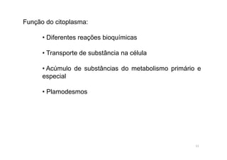 Função do citoplasma: 
• Diferentes reações bioquímicas 
• Transporte de substância na célula 
• Acúmulo de substâncias do metabolismo primário e 
especial 
• Plamodesmos 
11 
 