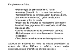 Função dos vacúolos: 
• Manutenção do pH celular (H+ ATPase) 
• Autofagia (digestão de componentes celulares) 
• Compartimentos de armazenagem dinâmicos (íons, 
ptns e outros metabólitos) : grãos de aleurona 
(proteínas), grãos de amido 
• Depósitos de produtos do metabolismo secundário: 
Antocianidinas, pigmentos hidrossolúveis, alcalóides, 
saponinas, etc. 
•Volume considerável do espaço celular, até 90% 
• Delimitado por membrana lipoprotéica trilamelar 
(tonoplasto) 
• Tonoplasto semelhante à membrana plasmática 
Acúmulo de inclusões na forma de cristais prismáticos de 
oxalato de cálcio: Ráfides ou rafídios, drusas, areias 
cristalinas, cristais prismáticos, cristais estilóides. 13 
 