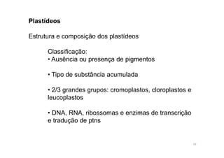 Plastídeos 
Estrutura e composição dos plastídeos 
Classificação: 
• Ausência ou presença de pigmentos 
• Tipo de substância acumulada 
• 2/3 grandes grupos: cromoplastos, cloroplastos e 
leucoplastos 
• DNA, RNA, ribossomas e enzimas de transcrição 
e tradução de ptns 
16 
 