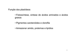 Função dos plastídeos 
• Fotossíntese, síntese de ácidos aminados e ácidos 
graxos 
• Pigmentos carotenóides e clorofila 
• Armazenar amido, proteínas e lipídios 
20 
 