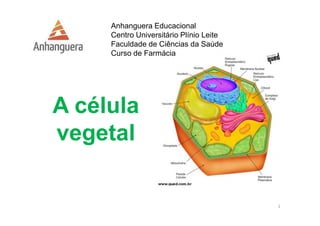 A célula 
vegetal 
1 
Anhanguera Educacional 
Centro Universitário Plínio Leite 
Faculdade de Ciências da Saúde 
Curso de Farmácia 
 