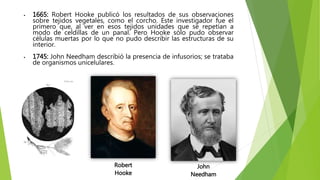  1665: Robert Hooke publicó los resultados de sus observaciones
sobre tejidos vegetales, como el corcho. Este investigador fue el
primero que, al ver en esos tejidos unidades que se repetían a
modo de celdillas de un panal. Pero Hooke sólo pudo observar
células muertas por lo que no pudo describir las estructuras de su
interior.
 1745: John Needham describió la presencia de infusorios; se trataba
de organismos unicelulares.
Robert
Hooke
John
Needham
 
