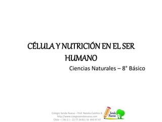CÉLULA Y NUTRICIÓN EN EL SER
HUMANO
Ciencias Naturales – 8° Básico
Colegio Senda Nueva – Prof. Natalia Cubillos B.
http://www.colegiosendanueva.com
Chile – ( 56-2 ) – 22 77 24 81 / 8- 493 97 47
 