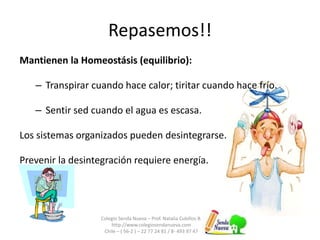 Colegio Senda Nueva – Prof. Natalia Cubillos B.
http://www.colegiosendanueva.com
Chile – ( 56-2 ) – 22 77 24 81 / 8- 493 97 47
Mantienen la Homeostásis (equilibrio):
– Transpirar cuando hace calor; tiritar cuando hace frío.
– Sentir sed cuando el agua es escasa.
Los sistemas organizados pueden desintegrarse.
Prevenir la desintegración requiere energía.
Repasemos!!
 