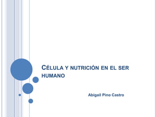 Célula y nutrición en el ser humano  Abigail Pino Castro 
