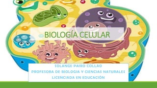 BIOLOGÍA CELULAR
SOLANGE PAIRO COLLAO
PROFESORA DE BIOLOGIA Y CIENCIAS NATURALES
LICENCIADA EN EDUCACIÓN
 
