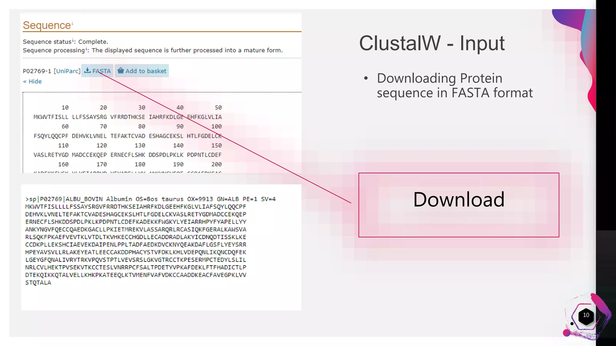 Clustal W - Multiple Sequence alignment | PPTX | Genetics | Science
