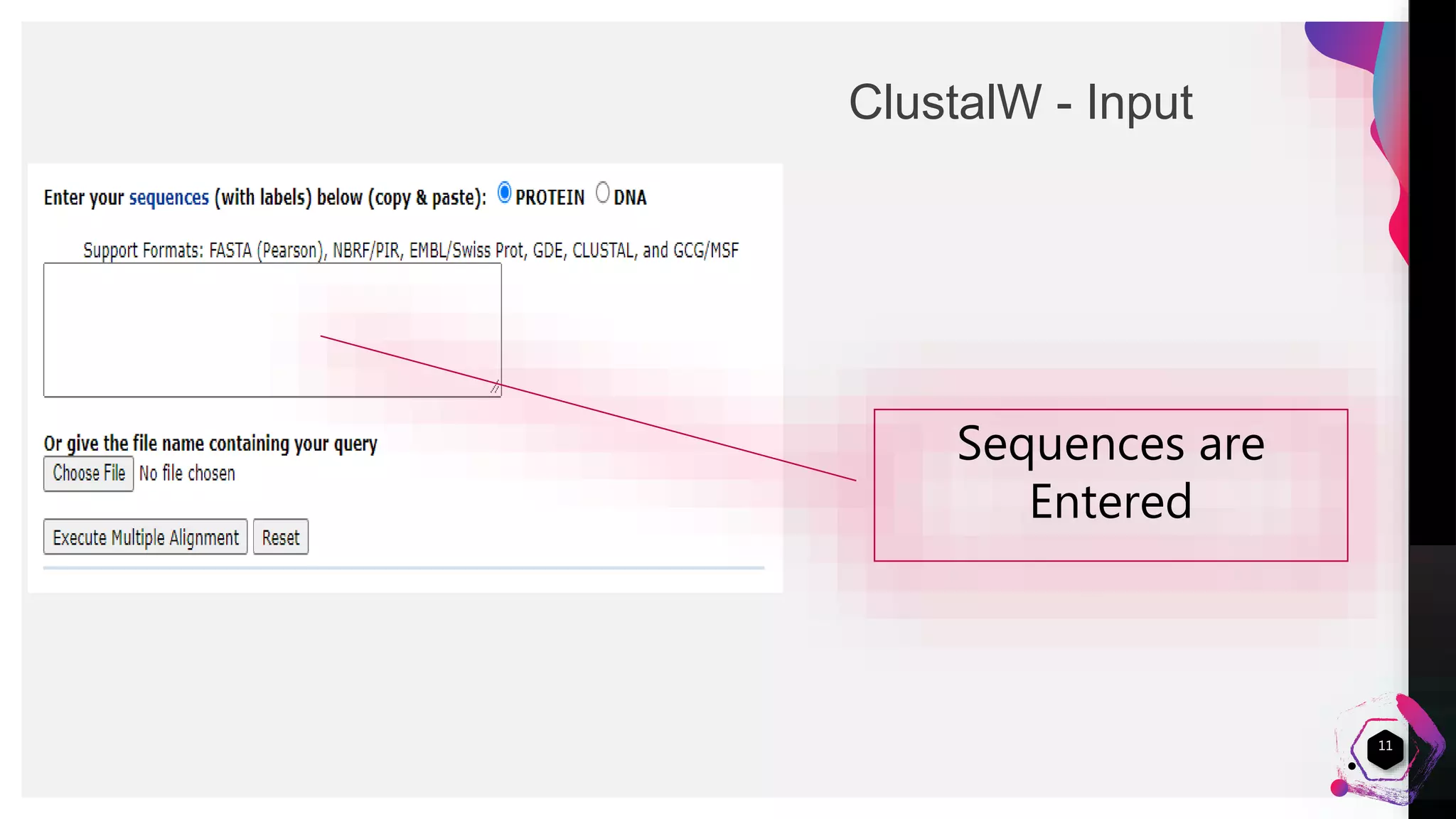 Clustal W - Multiple Sequence alignment | PPTX | Genetics | Science