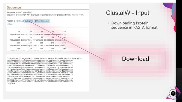Clustal W - Multiple Sequence alignment | PPTX | Genetics | Science