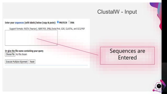 Clustal W - Multiple Sequence alignment | PPTX | Genetics | Science