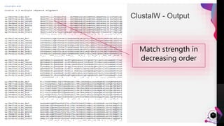 Clustal W - Multiple Sequence alignment | PPTX | Genetics | Science