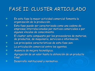 FASE II: CLUSTER ARTICULADO En esta fase la mayor actividad comercial fomenta la organización de la producción. Esta fase puede ser caracterizada como una cadena de empresas interrelacionadas por motivos comerciales o por algunos vínculos de conocimiento. El cluster esta compuesto por los proveedores de materias, de productos, de maquinaria, servicios e información. Las principales características de esta fase son: La articulación comercial entre los agentes. Ausencia de mejora tecnológica. Agregación de un valor hasta la obtención de un producto final. Desarrollo institucional y normativo. 