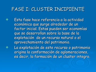FASE I: CLUSTER INCIPIENTE ,[object Object],[object Object]