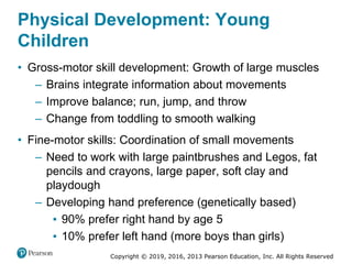 Copyright © 2019, 2016, 2013 Pearson Education, Inc. All Rights Reserved
Physical Development: Young
Children
• Gross-motor skill development: Growth of large muscles
– Brains integrate information about movements
– Improve balance; run, jump, and throw
– Change from toddling to smooth walking
• Fine-motor skills: Coordination of small movements
– Need to work with large paintbrushes and Legos, fat
pencils and crayons, large paper, soft clay and
playdough
– Developing hand preference (genetically based)
▪ 90% prefer right hand by age 5
▪ 10% prefer left hand (more boys than girls)
 