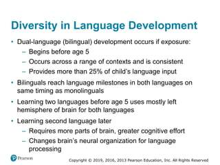 Copyright © 2019, 2016, 2013 Pearson Education, Inc. All Rights Reserved
Diversity in Language Development
• Dual-language (bilingual) development occurs if exposure:
– Begins before age 5
– Occurs across a range of contexts and is consistent
– Provides more than 25% of child’s language input
• Bilinguals reach language milestones in both languages on
same timing as monolinguals
• Learning two languages before age 5 uses mostly left
hemisphere of brain for both languages
• Learning second language later
– Requires more parts of brain, greater cognitive effort
– Changes brain’s neural organization for language
processing
 