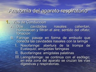 Anatomía del aparato respiratorioAnatomía del aparato respiratorio
1.1. Vías de ConducciónVías de Conducción
A.A. Dos cavidades nasales: calientan,Dos cavidades nasales: calientan,
humedecen y filtran el aire; sentido del olfato;humedecen y filtran el aire; sentido del olfato;
fonaciónfonación
B.B. Faringe: pasaje en forma de embudo queFaringe: pasaje en forma de embudo que
conecta las cavidades nasales con la laringeconecta las cavidades nasales con la laringe
I.I. Nasofaringe: abertura de la trompa deNasofaringe: abertura de la trompa de
Eustaquio; amígdalas faringeasEustaquio; amígdalas faringeas
II.II. Bucofaríngea: amígdalas palatinasBucofaríngea: amígdalas palatinas
III.III. Laringofaringe: se continúa con el esófago;Laringofaringe: se continúa con el esófago;
en esta zona del aparato se cruzan las víasen esta zona del aparato se cruzan las vías
digestivas y respiratorias.digestivas y respiratorias.
 