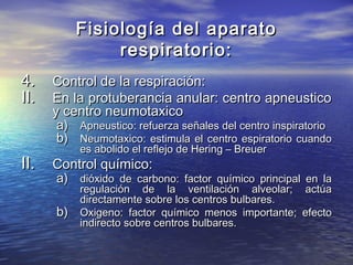 Fisiología del aparatoFisiología del aparato
respiratorio:respiratorio:
4.4. Control de la respiración:Control de la respiración:
II.II. En la protuberancia anular: centro apneusticoEn la protuberancia anular: centro apneustico
y centro neumotaxicoy centro neumotaxico
a)a) Apneustico: refuerza señales del centro inspiratorioApneustico: refuerza señales del centro inspiratorio
b)b) Neumotaxico: estimula el centro espiratorio cuandoNeumotaxico: estimula el centro espiratorio cuando
es abolido el reflejo de Hering – Breueres abolido el reflejo de Hering – Breuer
II.II. Control químico:Control químico:
a)a) dióxido de carbono: factor químico principal en ladióxido de carbono: factor químico principal en la
regulación de la ventilación alveolar; actúaregulación de la ventilación alveolar; actúa
directamente sobre los centros bulbares.directamente sobre los centros bulbares.
b)b) Oxigeno: factor químico menos importante; efectoOxigeno: factor químico menos importante; efecto
indirecto sobre centros bulbares.indirecto sobre centros bulbares.
 