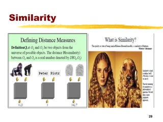 Similarity 