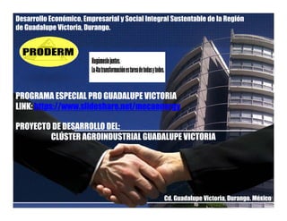 Desarrollo Económico, Empresarial y Social Integral Sustentable de la Región
de Guadalupe Victoria, Durango.
PROGRAMA ESPECIAL PRO GUADALUPE VICTORIA
PROYECTO DE DESARROLLO DEL
PROGRAMA ESPECIAL PRO GUADALUPE VICTORIA
LINK: https://www.slideshare.net/mecaenergy
PROYECTO DE DESARROLLO DEL:
CLÚSTER AGROINDUSTRIAL GUADALUPE VICTORIA
Cd. Guadalupe Victoria, Durango. México
 