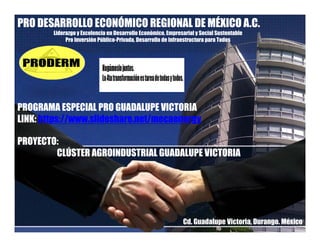 PRO DESARROLLO ECONÓMICO REGIONAL DE MÉXICO A.C.
Liderazgo y Excelencia en Desarrollo Económico, Empresarial y Social Sustentable
Pro Inversión Público-Privada, Desarrollo de Infraestructura para Todos
PROGRAMA ESPECIAL PRO GUADALUPE VICTORIA
PROYECTO
PROGRAMA ESPECIAL PRO GUADALUPE VICTORIA
LINK: https://www.slideshare.net/mecaenergy
PROYECTO:
CLÚSTER AGROINDUSTRIAL GUADALUPE VICTORIA
Cd. Guadalupe Victoria, Durango. México
 