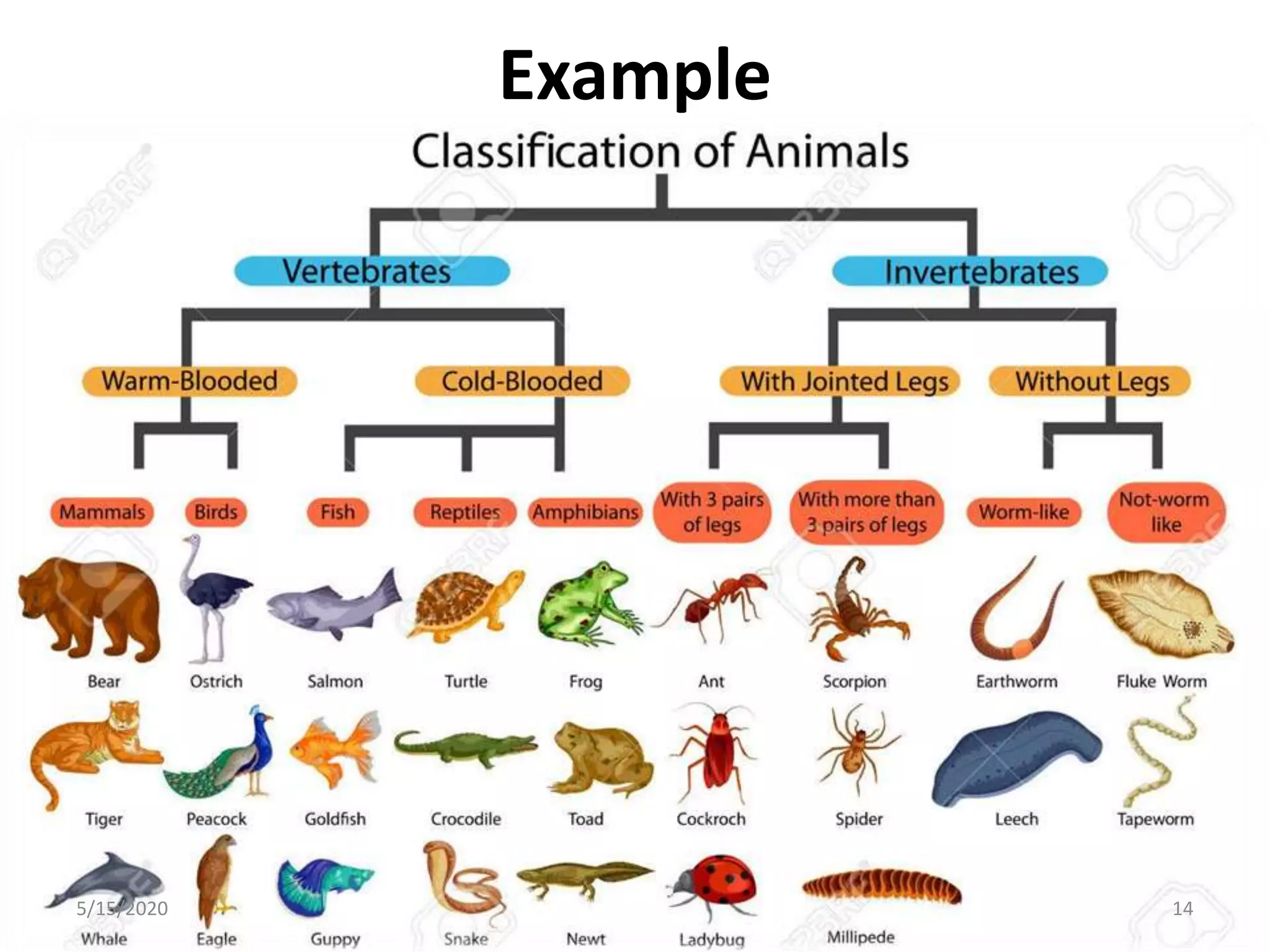 Example
5/15/2020 14
 
