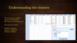 Understanding the clusters
We need to give suitable
names to the clusters.
We can do it in variable view
Let’s give the names:
Cluster 1: Seniors
Cluster 3: Adjuncts
Cluster 2: Others
 