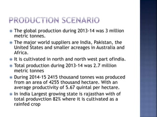  The global production during 2013-14 was 3 million
metric tonnes.
 The major world suppliers are India, Pakistan, the
United States and smaller acreages in Australia and
Africa.
 It is cultivated in north and north west part ofindia.
 Total production during 2013-14 was 2.7 million
metric tonnes
 During 2014-15 2415 thousand tonnes was produced
from an area of 4255 thousand hectare. With an
average productivity of 5.67 quintal per hectare.
 In india Largest growing state is rajasthan with of
total produvction 82% where it is cultivated as a
rainfed crop
 